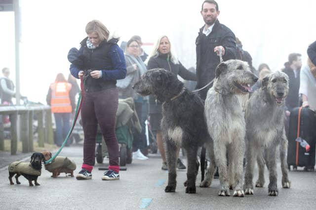 Crufts 2018 – Day Two