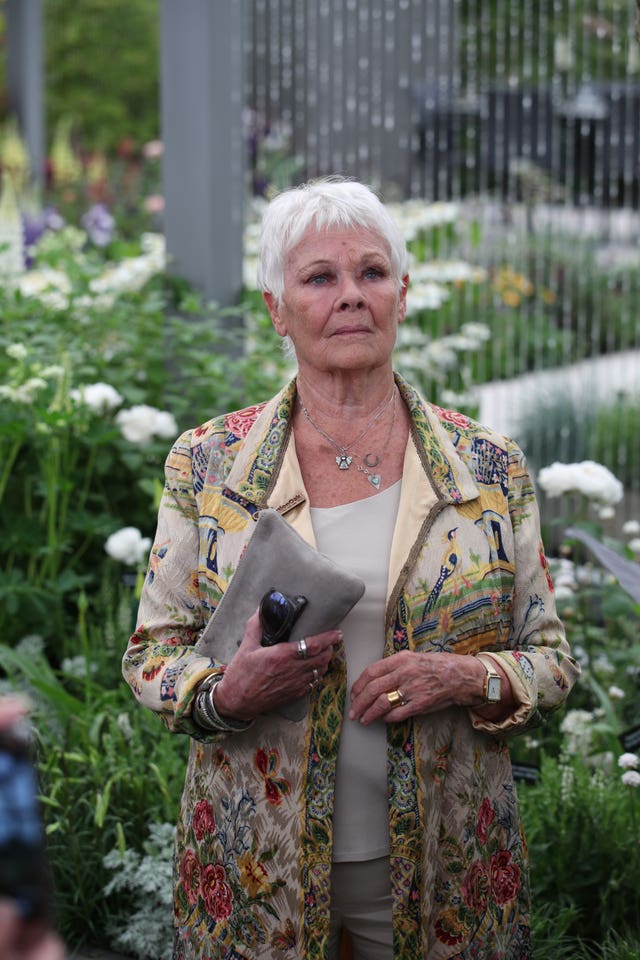 Dame Judi Dench at the Chelsea Flower Show