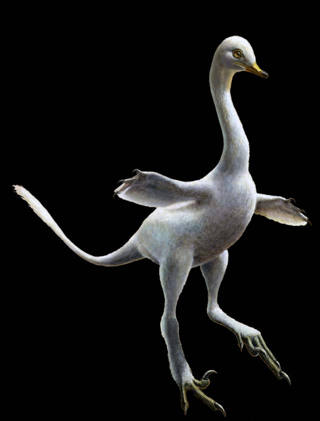 Halszkaraptor escuilliei (Lukas Panzarin and Andrea Cau)