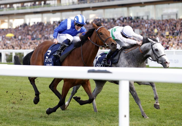 Eshaada (striped cap) was a winner on Champions Day