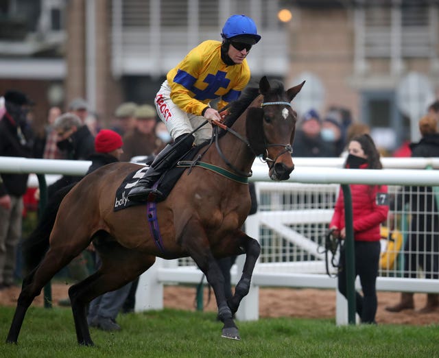Stag Horn before the Ballymore Leamington Novices’ Hurdle at Warwick