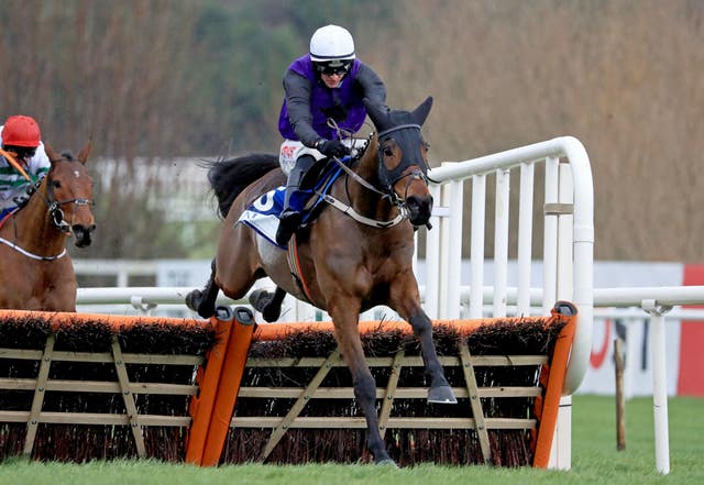 Minella Cocooner is a Mullins representative
