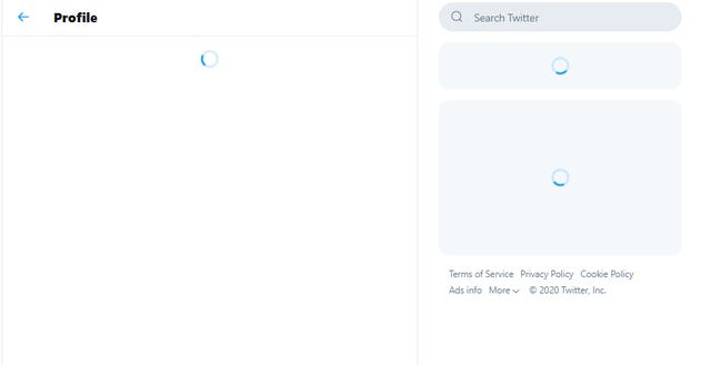 Users reporting issues with Twitter
