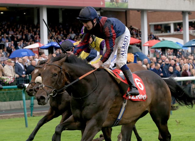 The Tin Man could bid for a second win in the Hackwood Stakes at Newbury on Saturday
