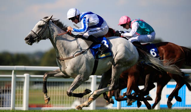 Thundering Blue is expected to need the run on his second outing this season