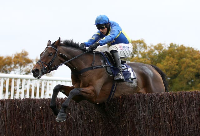 Shan Blue was unsuited by the track at Cheltenham