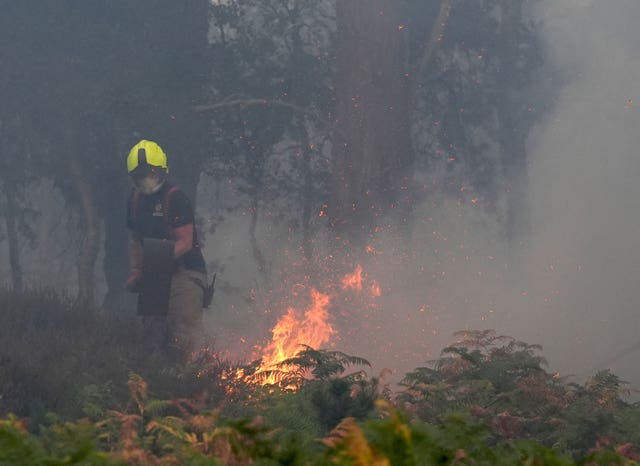 Suffolk coast wildfire
