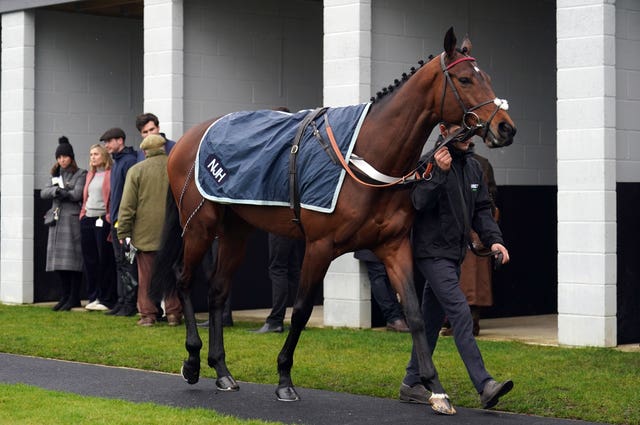 Palladium prior to his hurdling debut at Huntingdon
