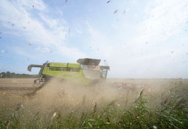A combine harvester gathers crops on Romney Marsh near Ashford in Kent