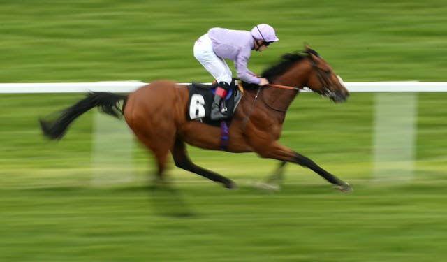 King Ottokar is to be aimed at the Lincoln Handicap next spring