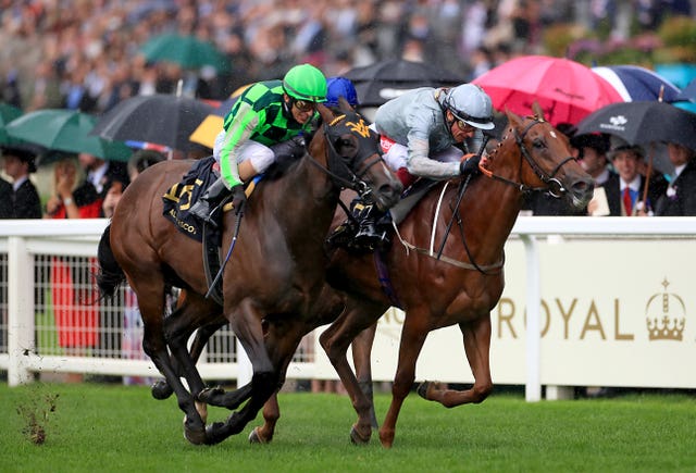 Raffle Prize won last year's Queen Mary at Ascot