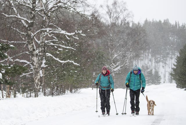 Skiers