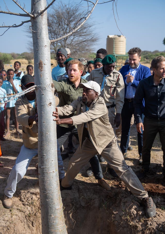 helps plant a baobab tree