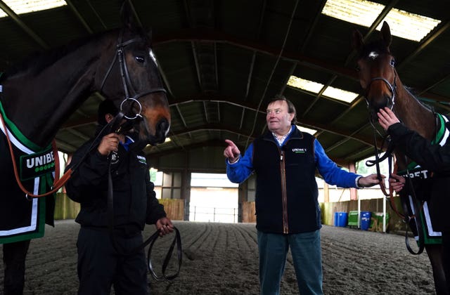 Sir Gino (right) with stablemate Shishkin