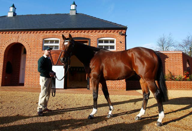 It is business as usual for super stallion Frankel