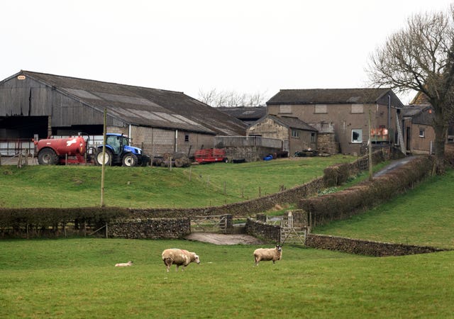 Farm