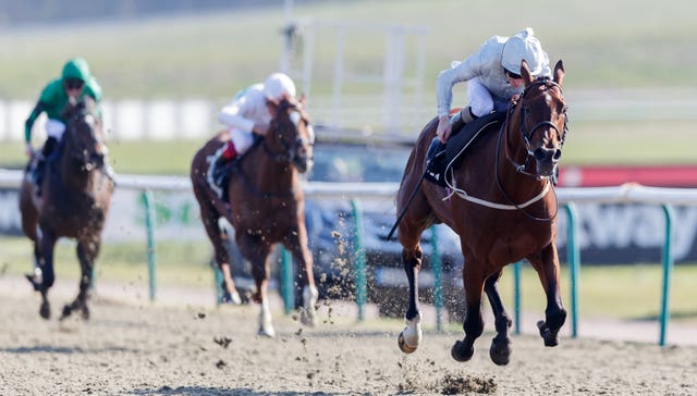 Matterhorn has enjoyed a lucrative year and goes for Group Two glory at Ascot