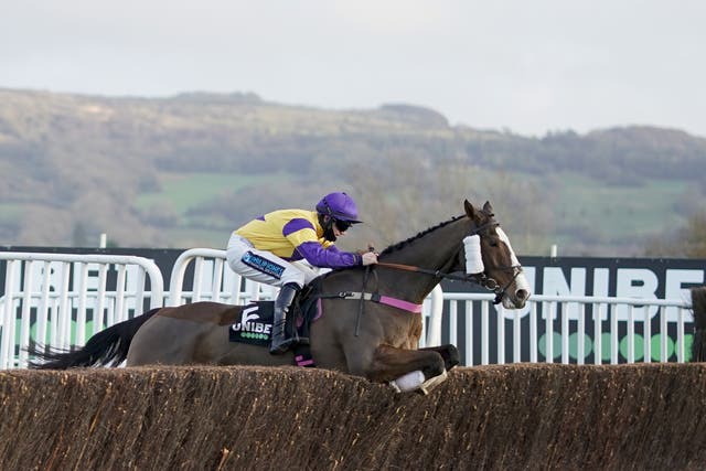 Storm Control heads for the Classic Handicap Chase on a hat-trick after two wins at Cheltenham