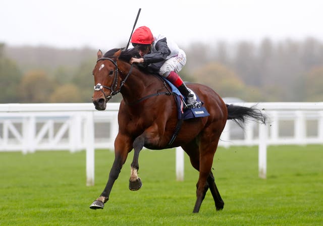Cracksman was a spectacular winner of the Champion Stakes last year