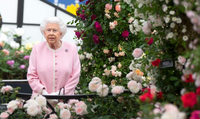 The Queen looks at a display of roses on the Peter Beale roses display stand (Richard Pohle/Times/PA)
