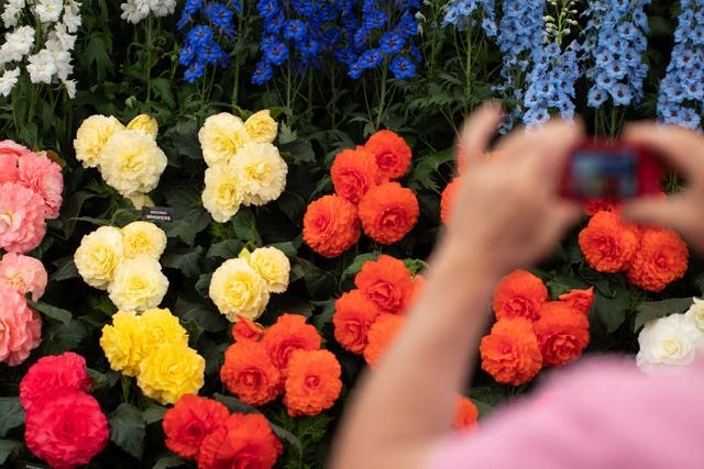 Chelsea Flower Show 2019