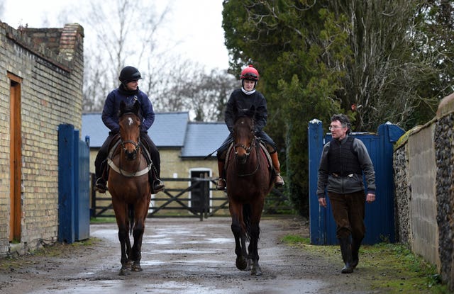 Trainer John Berry watches as his horses go for exercise at his Newmarket yard