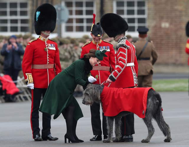 The Duchess of Cambridge presents a shamrock to Irish Guards mascot, Irish Wolfhound Domhnall (Jonathan Brady/PA)