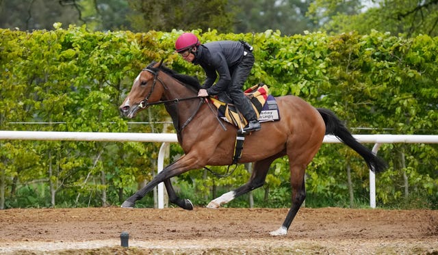 Aidan O’Brien Stable Visit – Ballydoyle