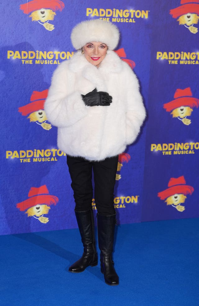 Paddington The Musical opening night