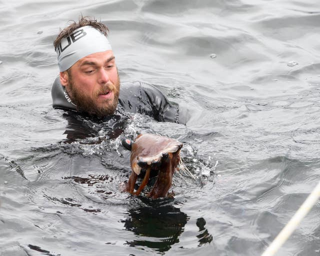 Jellyfish are among the challenges Ross Edgley has faced on his swim