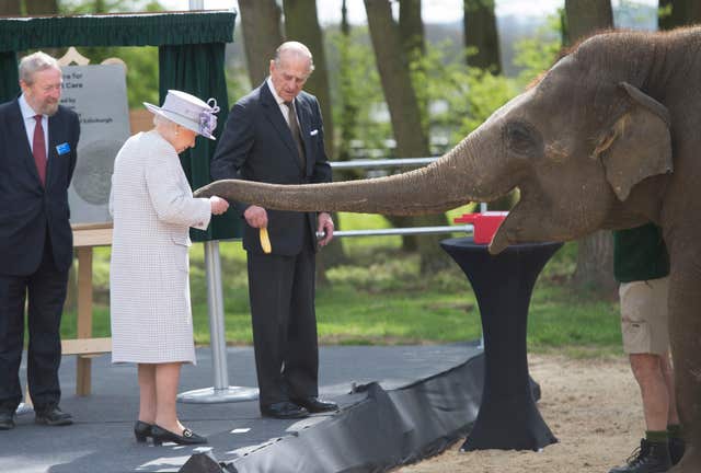 Queen Elizabeth II feeds Donner the elephant at ZSL Whipsnade Zoo (David Rose/The Daily Telegraph/PA)