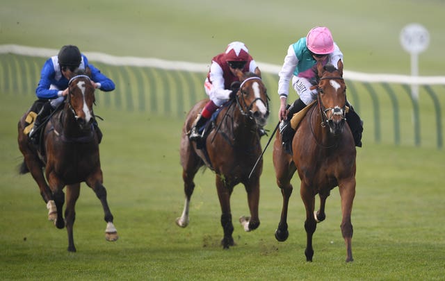 Clerisy is a promising filly but will not be aimed at the 1000 Guineas, according to Sir Michael Stoute