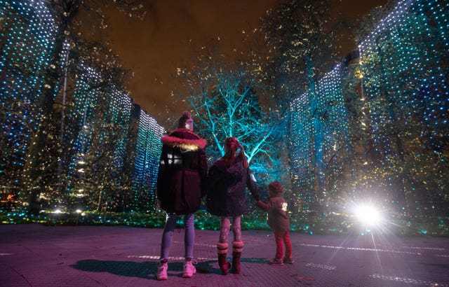 Christmas at Kew