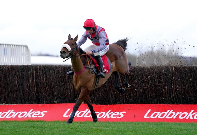 Fanion D’Estruval will carry top-weight in the Coral Gold Cup