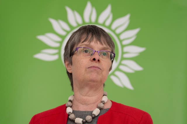 Green MEP Molly Scott Cato (Stefan Rousseau/PA)