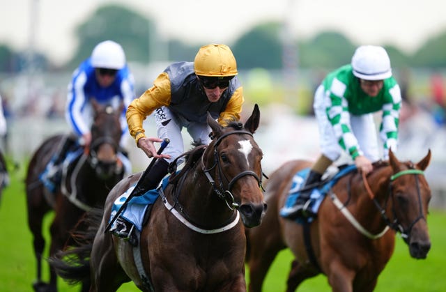 York winner Shadow Army will head to the Norfolk Stakes
