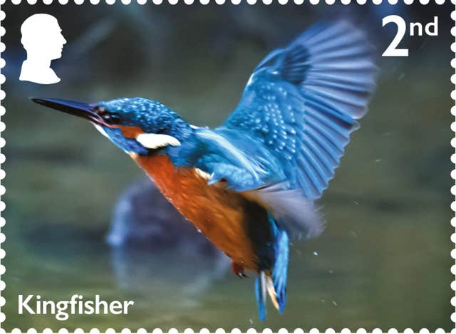 Royal Mail river wildlife stamps