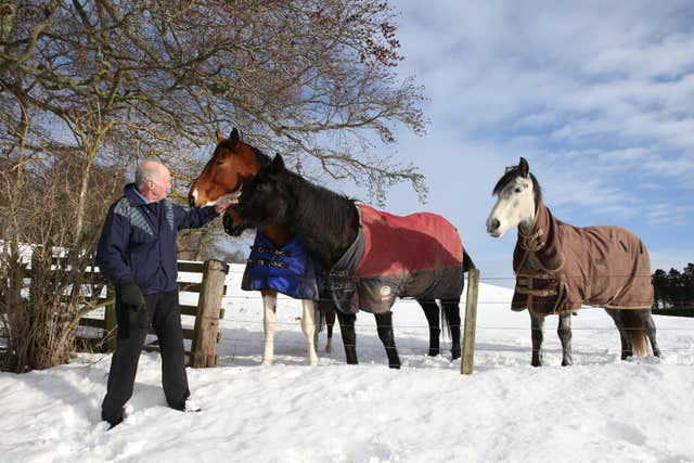 Jack Knox pets horses near Selkirk where snow continues to lie on the fields (Andrew Milligan/PA)