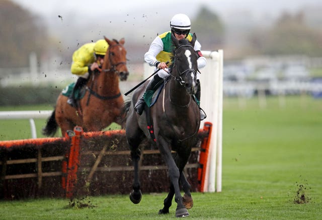 Hillcrest goes to the Albert Bartlett as the top-rated British runner