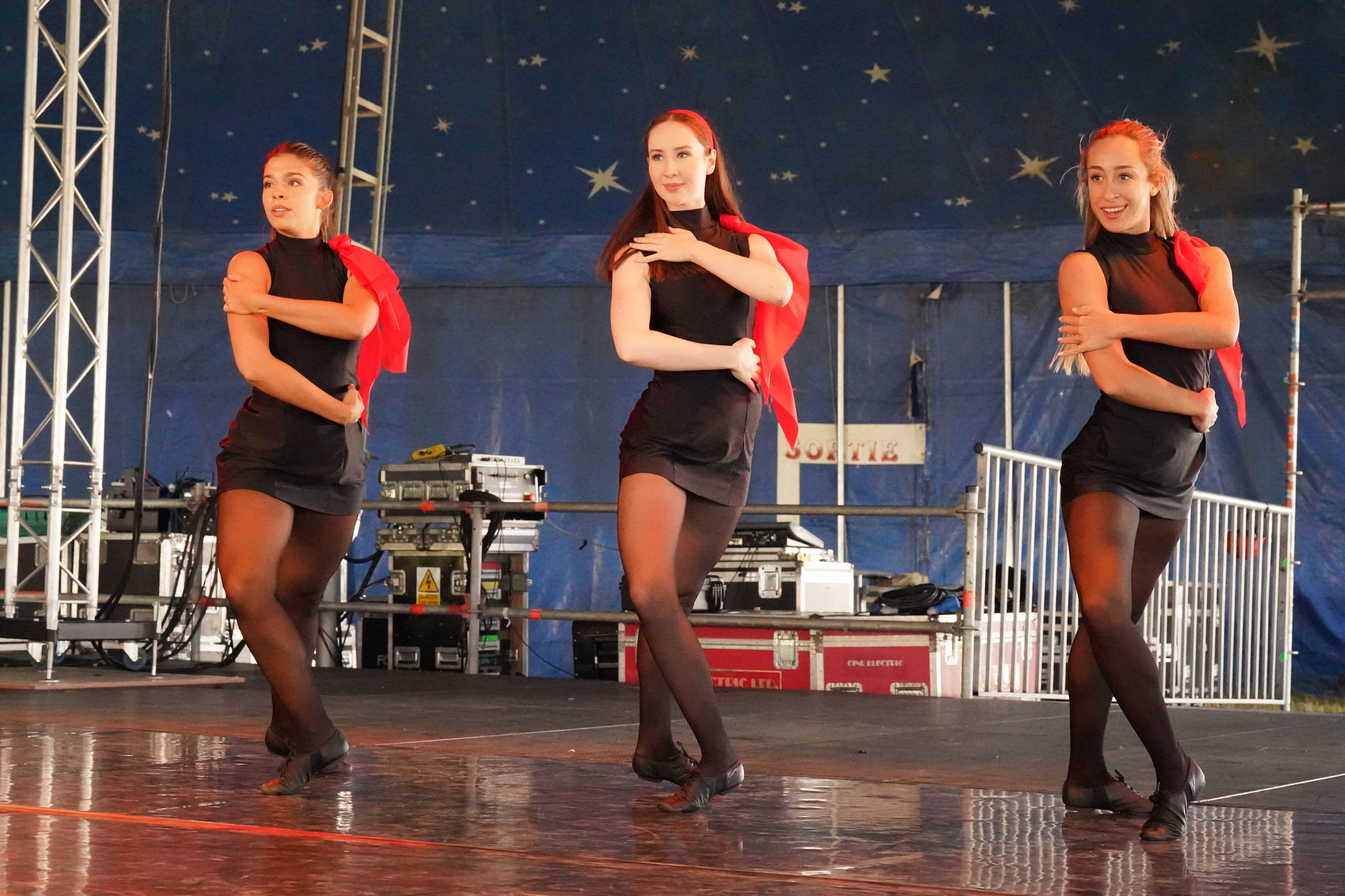 Electric Picnic Festival