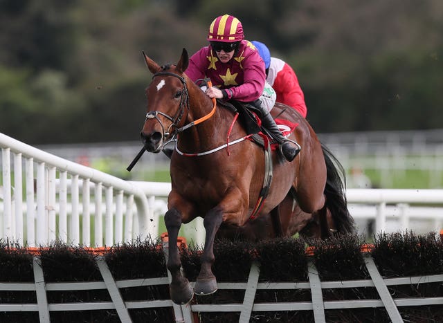Minella Indo will be ridden by Jack Kennedy in the Gold Cup