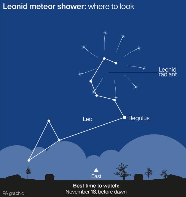 Leonid meteor shower: where to look 