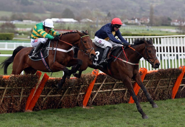 City Island got the better of Champ at Cheltenham