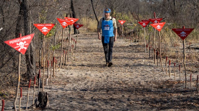 Harry walks on a safe path between land dotted with mines