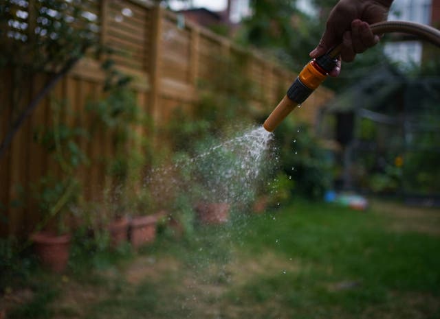 Water coming from a hosepipe in a garden