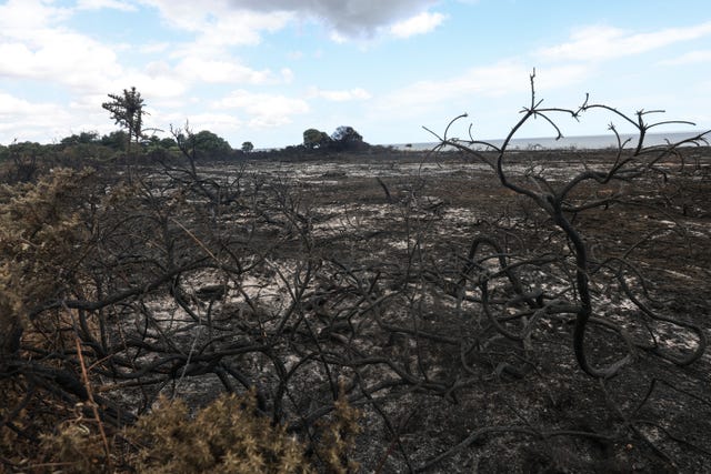 A general view of the scene of the wildfire at Dunwich Heath