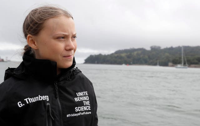 Greta Thunberg book