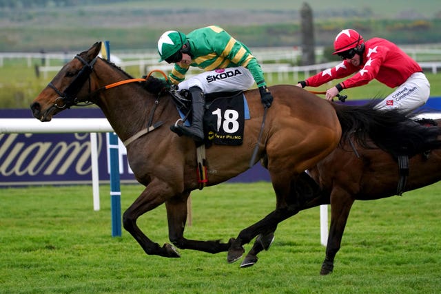A Great View won his first race for four years