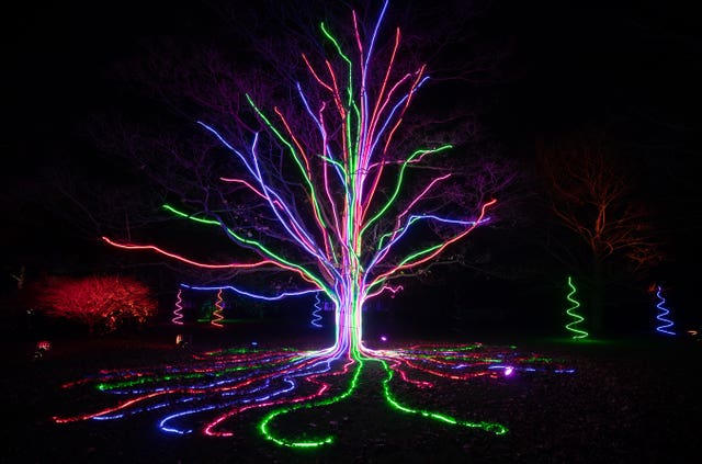 Christmas at Kew