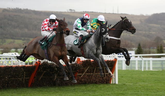Stolen Silver (centre) finished a good second at Cheltenham